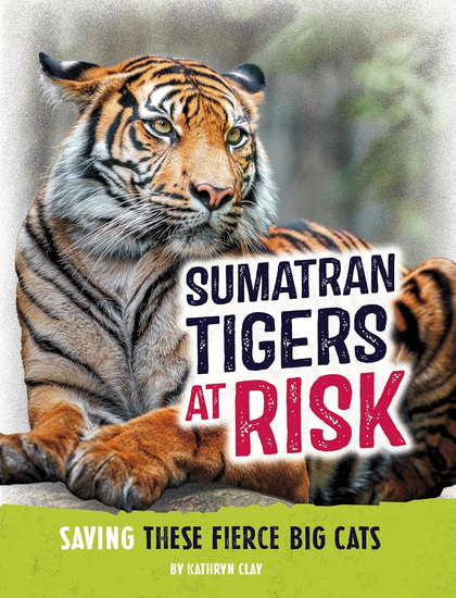 Sumatran Tigers at Risk: Saving These Fierce Big Cats - KATHRYN CLAY