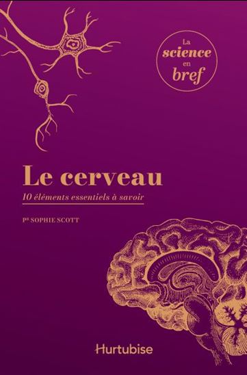 Le Cerveau : 10 éléments essentiels à savoir - SOPHIE SCOTT