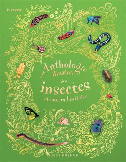 Anthologie illustrée des insectes et autres bestioles - JESS FRENCH