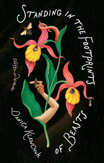 Standing in the Footprints of Beasts - DANICA KLEWCHUK