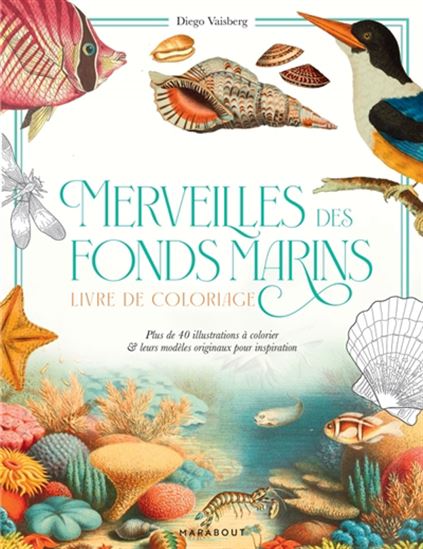 Merveilles des fonds marins - COLLECTIF