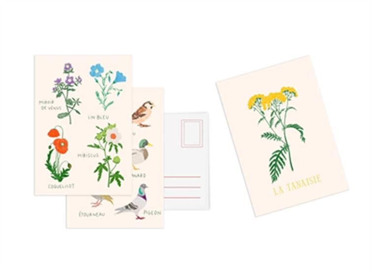 Cartes postales : une collection de 10 cartes postales autour des fleurs Cof. - ZOÉ DE LAS CASES