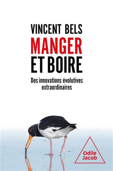Manger et boire : des innovations évolutives extraordinaires - VINCENT L. BELS