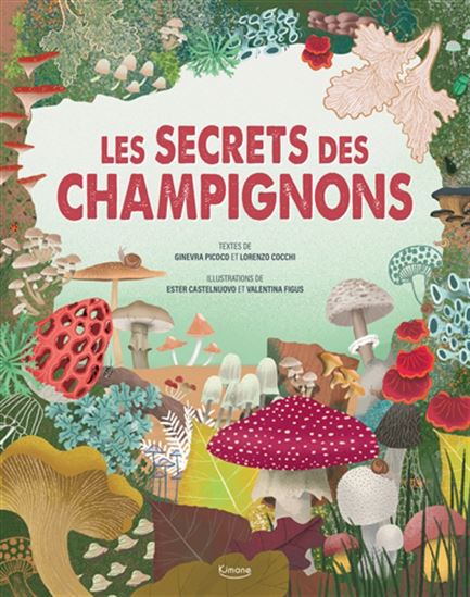 Les Secrets des champignons - Collectif