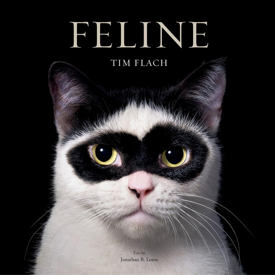 Feline: Photographs - TIM FLACH