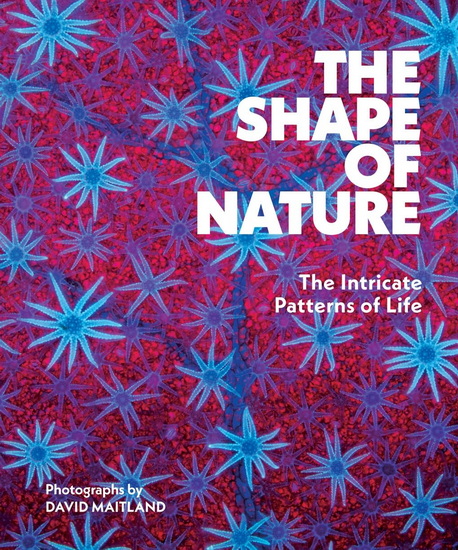 The Shape of Nature: The Intricate Patterns of Life - DAVID MAITLAND