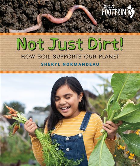 Not Just Dirt!: How Soil Supports Our Planet - SHERYL NORMANDEAU