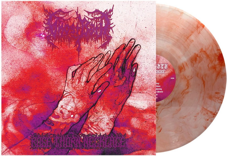 Rose Thorn Necklace (Vinyle couleur) - GHOST BATH