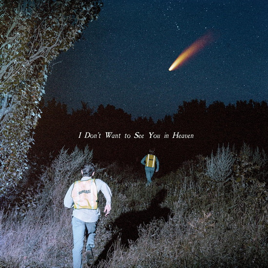 I Don't Want To See You In Heaven (Vinyle couleur) - CALLOUS DAOBOYS