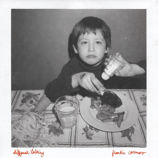 Different Talking - FRANKIE COSMOS