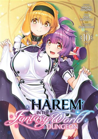 Harem in the fantasy world dungeon #10 - SHACHI SOGANO & AL