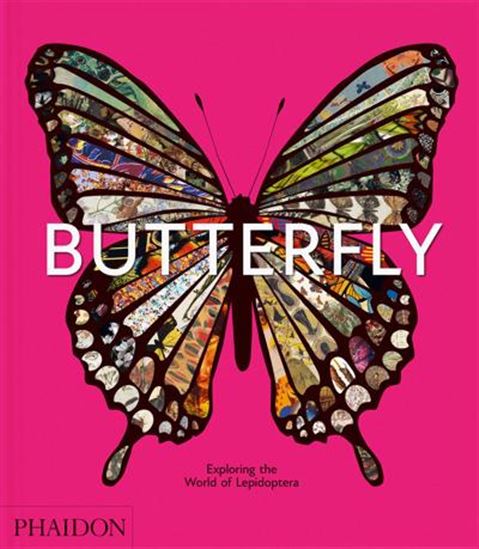 Butterfly: Exploring the World of Lepidoptera - COLLECTIF