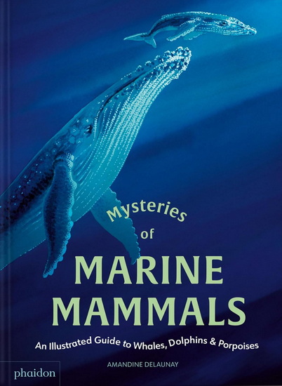 Mysteries of Marine Mammals: An Illustrated Guide to Whales, Dolphins, and Porpoises - AMANDINE DELAUNAY