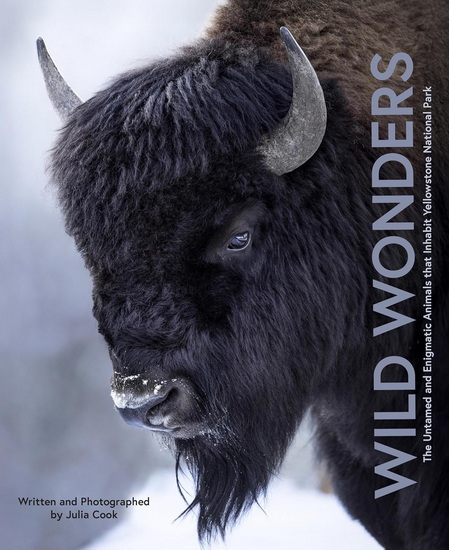 Wild Wonders: The Untamed and Enigmatic Animals that Inhabit Yellowstone National Park - JULIA COOK
