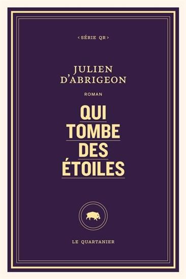 Qui tombe des étoiles - JULIEN D' ABRIGEON