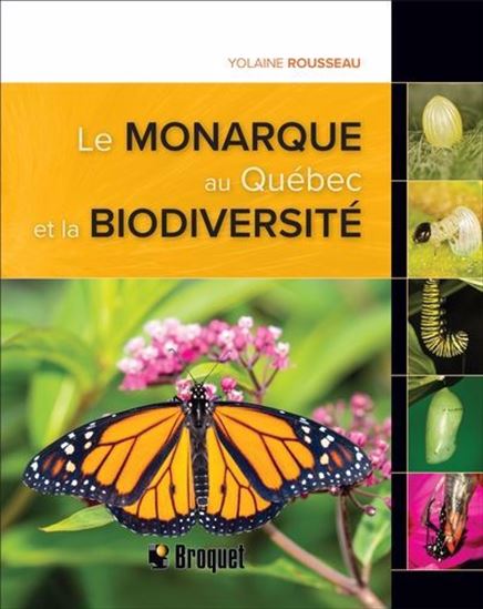 Le Monarque au Québec et la biodiversité - YOLAINE ROUSSEAU
