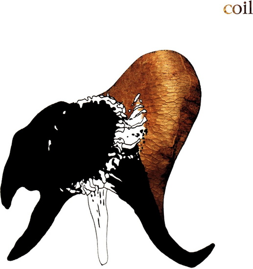 Black Antlers (Vinyle) - COIL