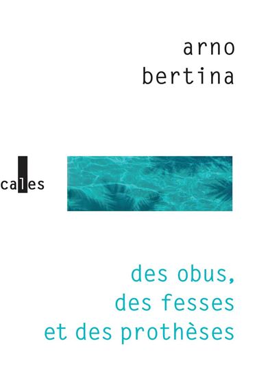Des obus, des fesses et des prothèses - ARNO BERTINA