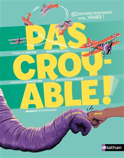 Pas croyable ! - PHILIPPE GODARD - YOULIE DESSINE