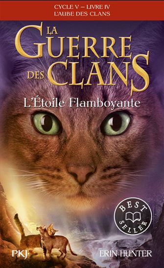 L&#39;Aube des clans #04 L&#39;étoile flamboyante - ERIN HUNTER