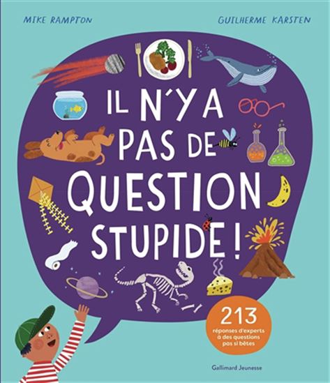 Il n'y a pas de question stupide ! : 213 réponses d'experts à des questions pas si bêtes - MIKE RAMPTON - GUILHERME KARSTEN