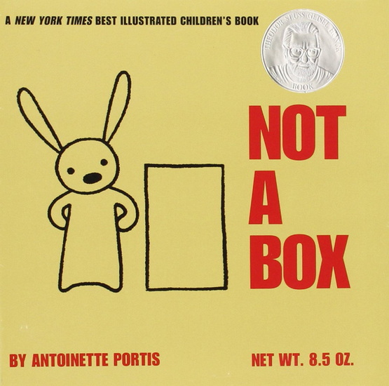 Not a Box - ANTOINETTE PORTIS