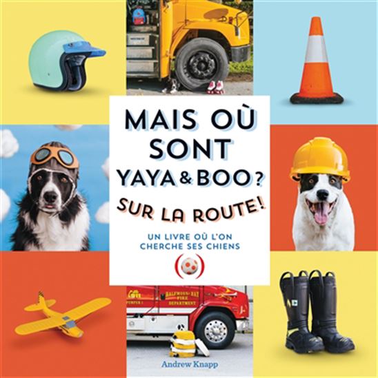 Mais où sont Yaya & Boo ? : sur la route ! : Un livre où l'on cherche ses chiens - ANDREW KNAPP