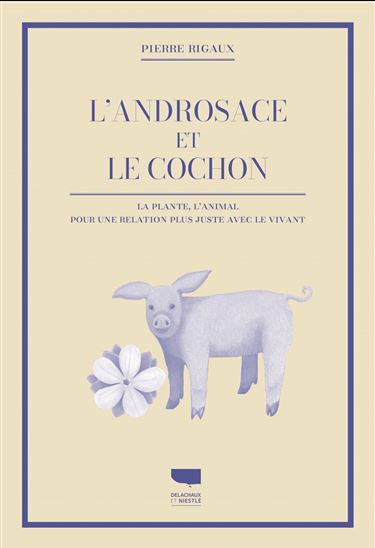 L&#39;androsace et le cochon - PIERRE RIGAUX