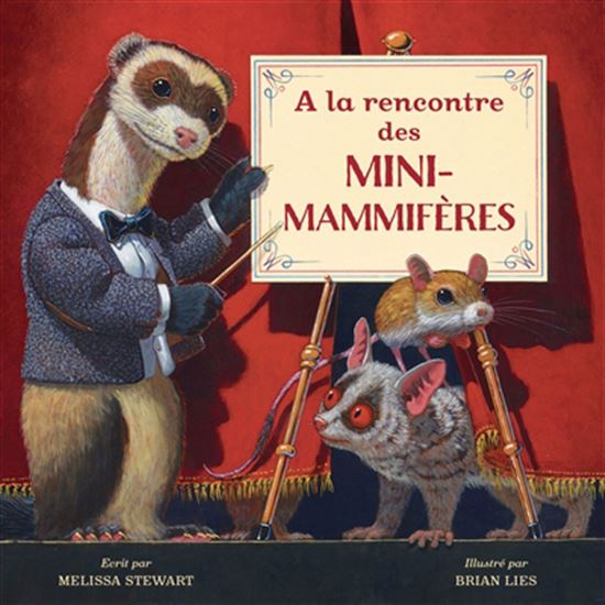 À la rencontre des mini-mammifères - MELISSA STEWART - BRIAN LIES