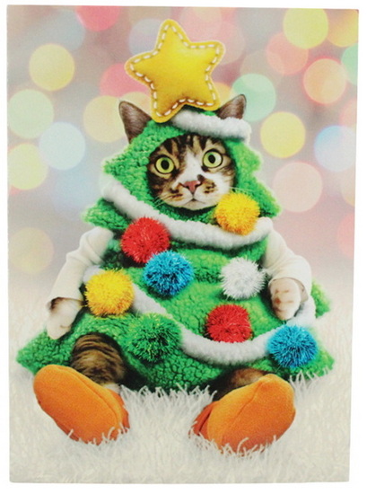 Chat en costume de sapin