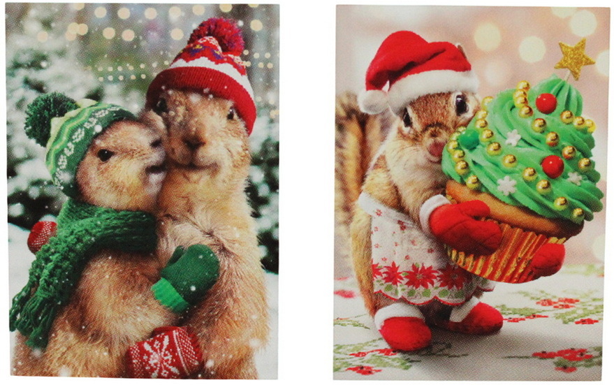 Boîte cartes de Noël marmottes et tamia