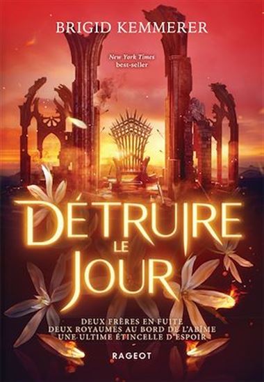 Détruire le jour - BRIGID KEMMERER