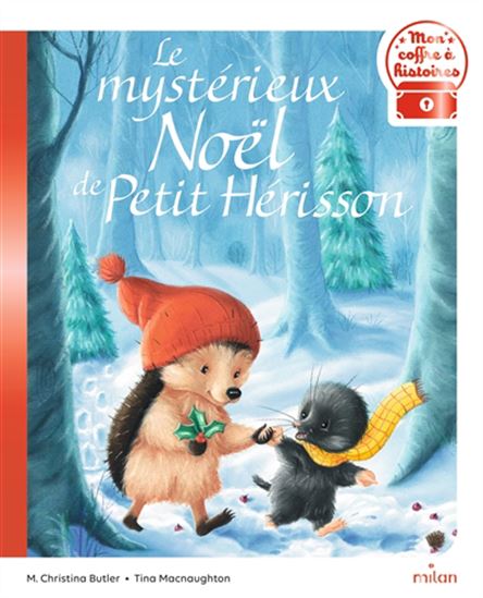 Le Mystérieux Noël de Petit Hérisson - M. CHRISTINA BUTLER - TINA MACNAUGHTON