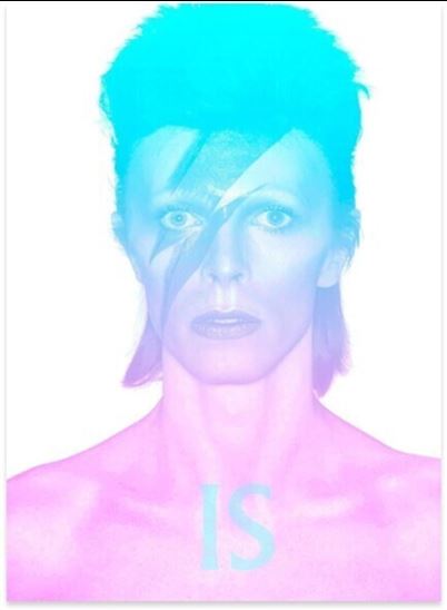 David Bowie is N. éd. - VICTORIA BROACKES - GEOFFREY MARSH