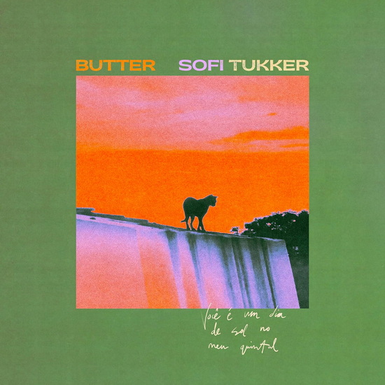 Butter (Vinyle) - SOFI TUKKER