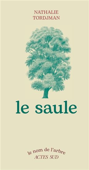 Le Saule N. éd. - NATHALIE TORDJMAN - NATHALIE LOCOSTE
