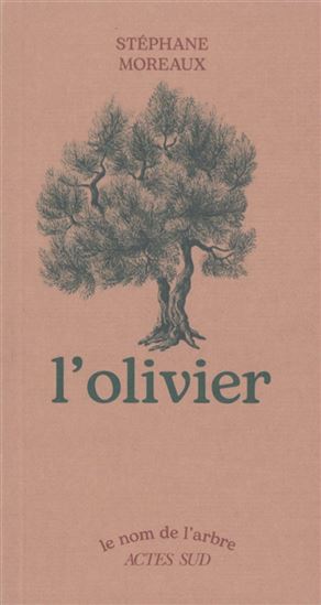 L&#39;Olivier N. éd. - STÉPHANE MOREAUX - NATHALIE LOCOSTE