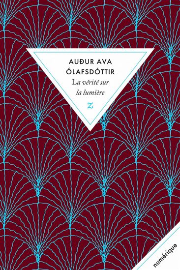 La Vérité sur la lumière - AUDUR AVA OLAFSDOTTIR