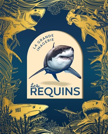 Les Requins Éd. collector - CATHY FRANCO - JACQUES DAYAN