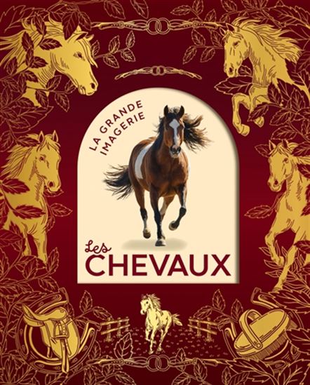 Les Chevaux Éd. collector - AGNÈS VANDEWIELE