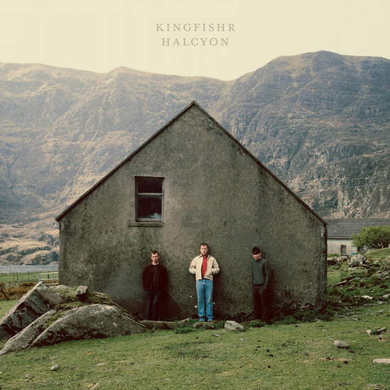 Halcyon - KINGFISHR