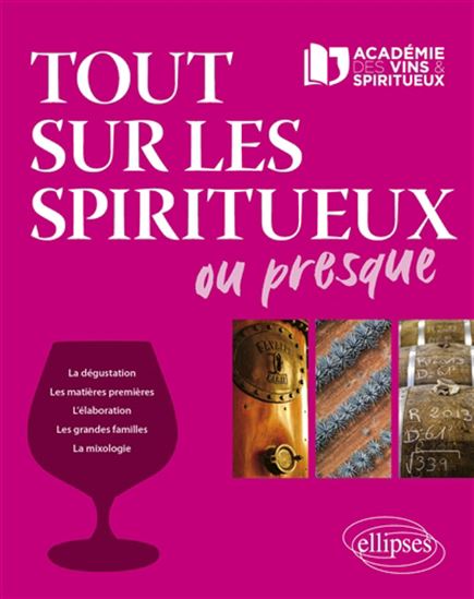 Tout sur les spiritueux ou presque - SÉBASTIEN DURAND-VIEL - SYLVAIN REMOVILLE - LUCIE REMOVILLE