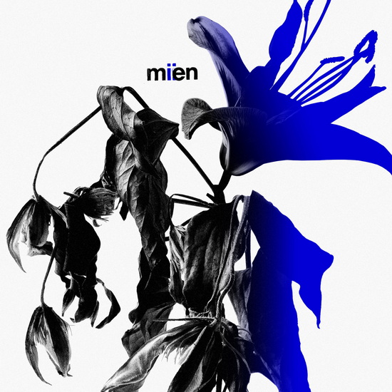Miien (Vinyle couleur) - MIEN