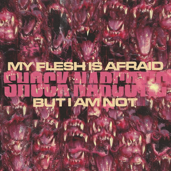 My Flesh Is Afraid But I Am Not - SHOCK NARCOTIC