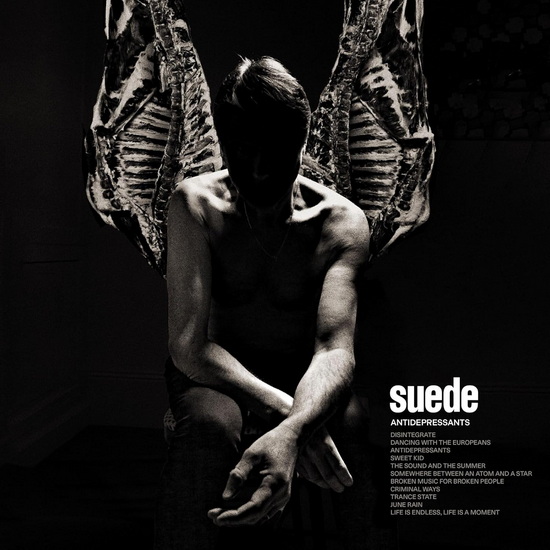Antidepressants (Vinyle) - SUEDE