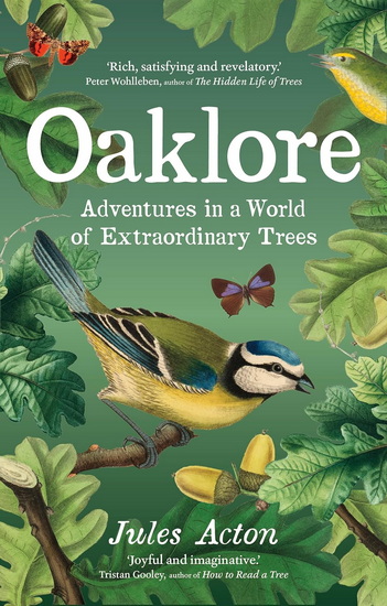 Oaklore: Adventures in a World of Extraordinary Trees - JULES ACTON