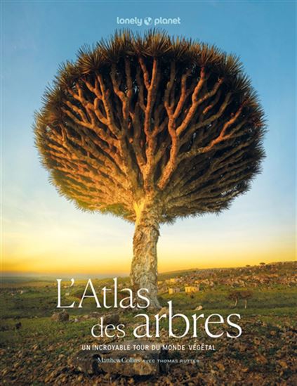 L&#39;Atlas des arbres : un incroyable tour du monde végétal - MATTHEW COLLINS - HOLLY EXLEY