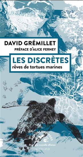 Les Discrètes : rêves de tortues marines - DAVID GRÉMILLET