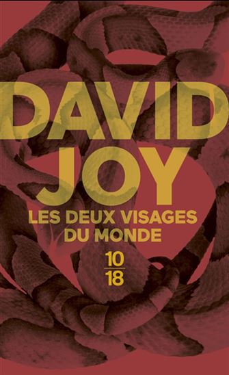 Les Deux visages du monde - DAVID JOY