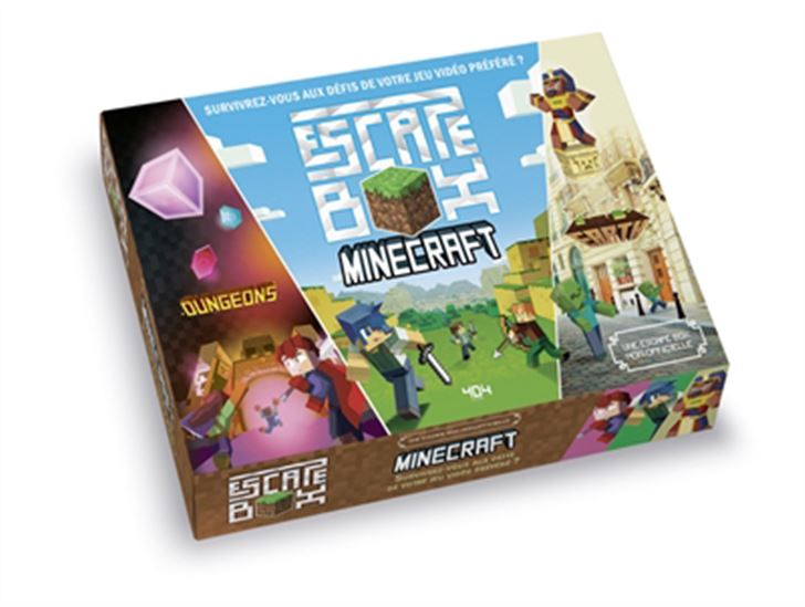 Escape Box Minecraft - STÉPHANE ANQUETIL - HAL WINTER